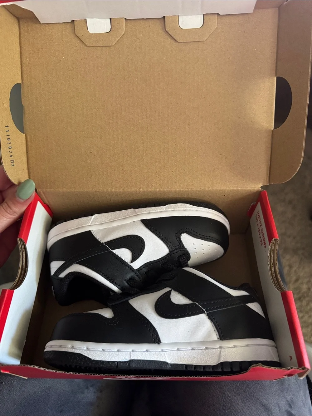 NEW Nike Toddler Dunk Low Sneakers